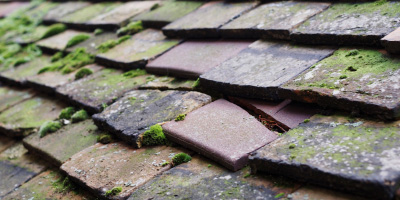 Llangynfelyn roof repair costs